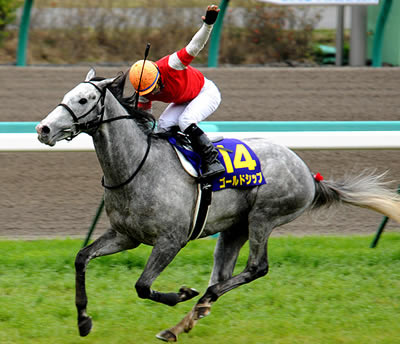 ゴールドシップ