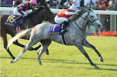 ゴールドシップ1位獲得