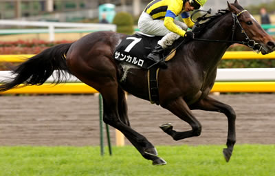 サンカルロ阪神11R