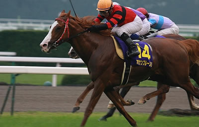 オウケンブルースリ引退