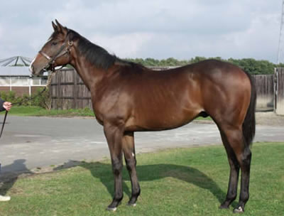 クイックスター重賞初勝利