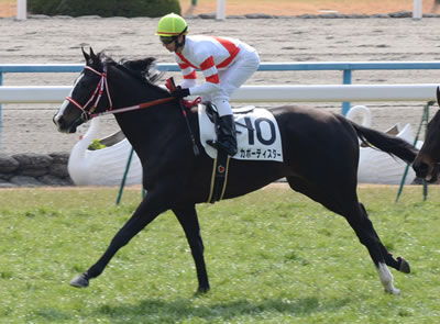 カーポティスター重賞制覇