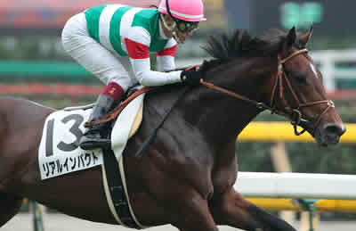 リアルインパクト東京新聞杯に向けて