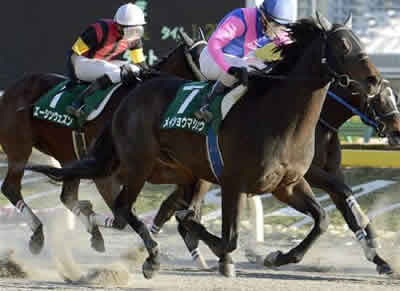 メイショウマシュウ重賞制覇