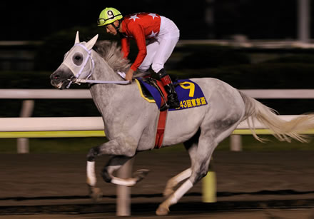 14歳馬が勝利！？　大井競馬［東京スプリング盃］