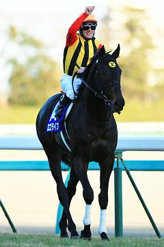 ロゴタイプ画像