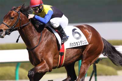 パッションダンス 画像