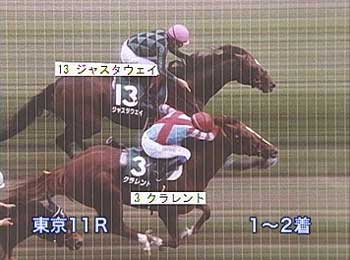 エプソムC 2013年のレース結果 JRA写真判定 画像