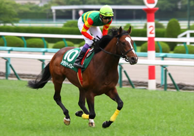 トウケイヘイロー