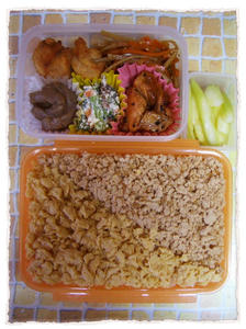 20090204弁当