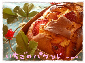 20090207苺ﾊﾟｳﾝﾄﾞ