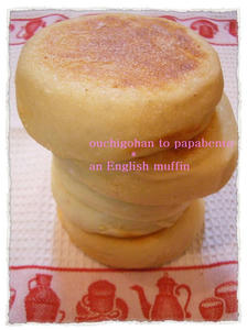 20090323ｲﾝｸﾞﾘｯｼｭﾏﾌｨﾝ