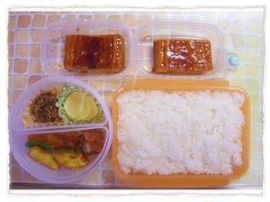 20090427弁当
