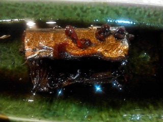 P2012_1009_204130.JPG