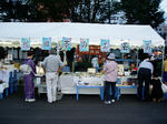 P8040327s.jpg
