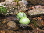 IMG_1883.JPG