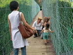 SANY0833.JPG