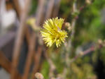 IMG_1926.jpg