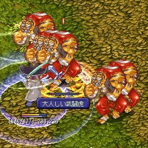 vs大人しい武闘虎