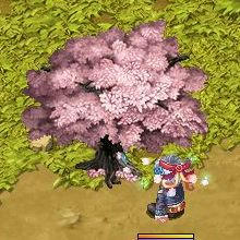 幻想の桜