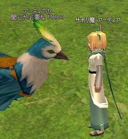 関心が必要な
