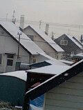 積雪