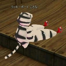 船。