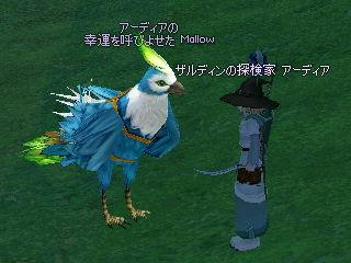 幸運を呼びよせたタイトル