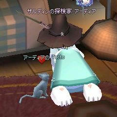 猫(´ω`*)