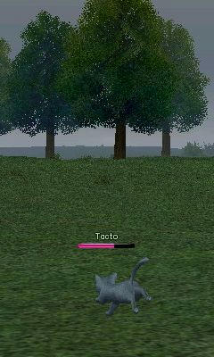 走り姿