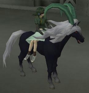 騎乗 右向き