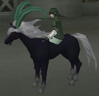 騎乗 左向き
