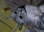 080606_041419.jpg