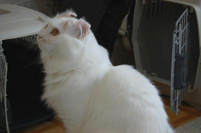 ヒロ