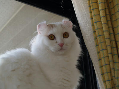 ヒロ