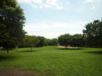 d8a38492.jpeg