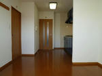 P1050003_500.jpg