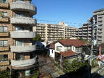 P1050024_500.jpg