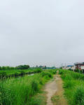 五月の朝に