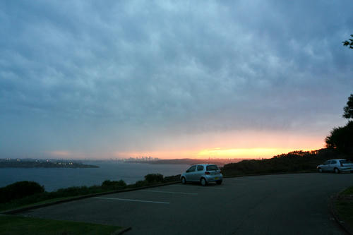 IMG_38313831.jpg