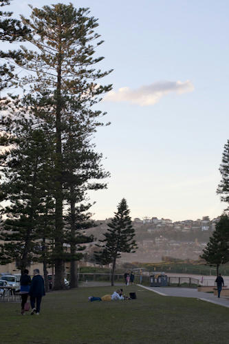 _MG_69086908.jpg
