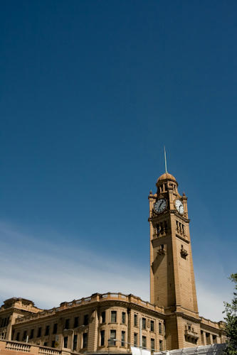 IMG_8235.jpg