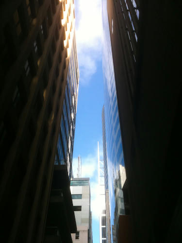 IMG_0310.jpg