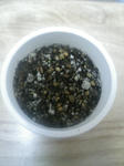 200804122055000.jpg
