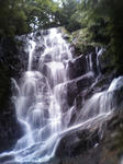 200809121439000.jpg