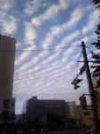 200810121719000.jpg
