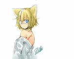 shirolle.jpg