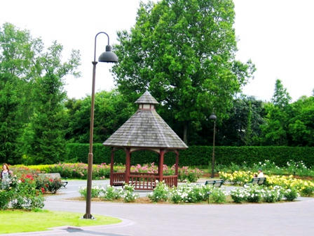 公園内のばら園