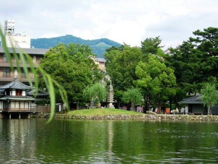 猿沢池