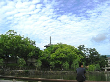 うろこ雲